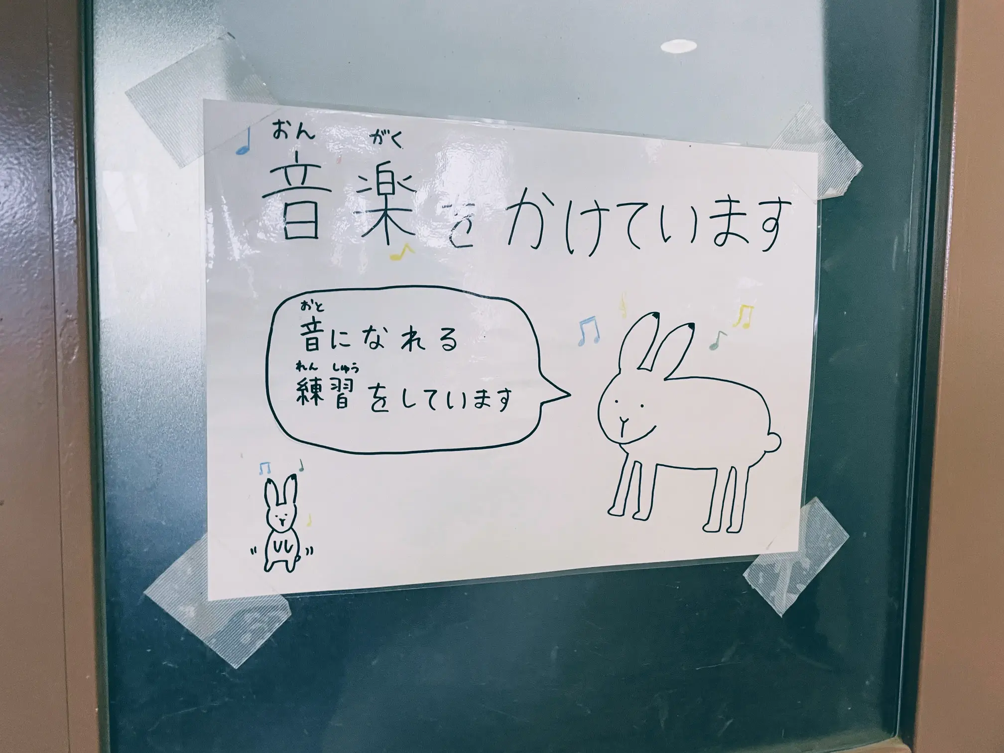 円山動物園のエゾユキウサギ展示にて、2022年11月撮影